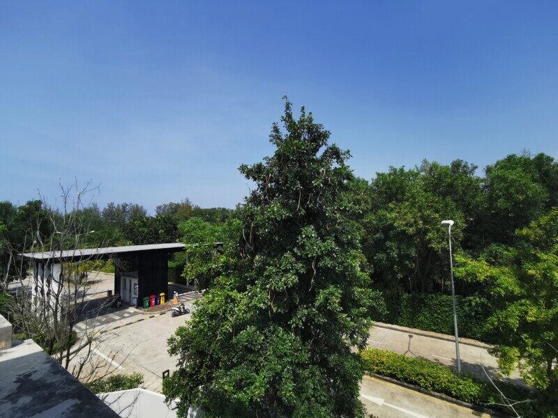 Laguna Park - вид из бассейна на крыше